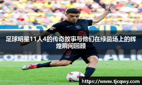 zoty中欧官方网站